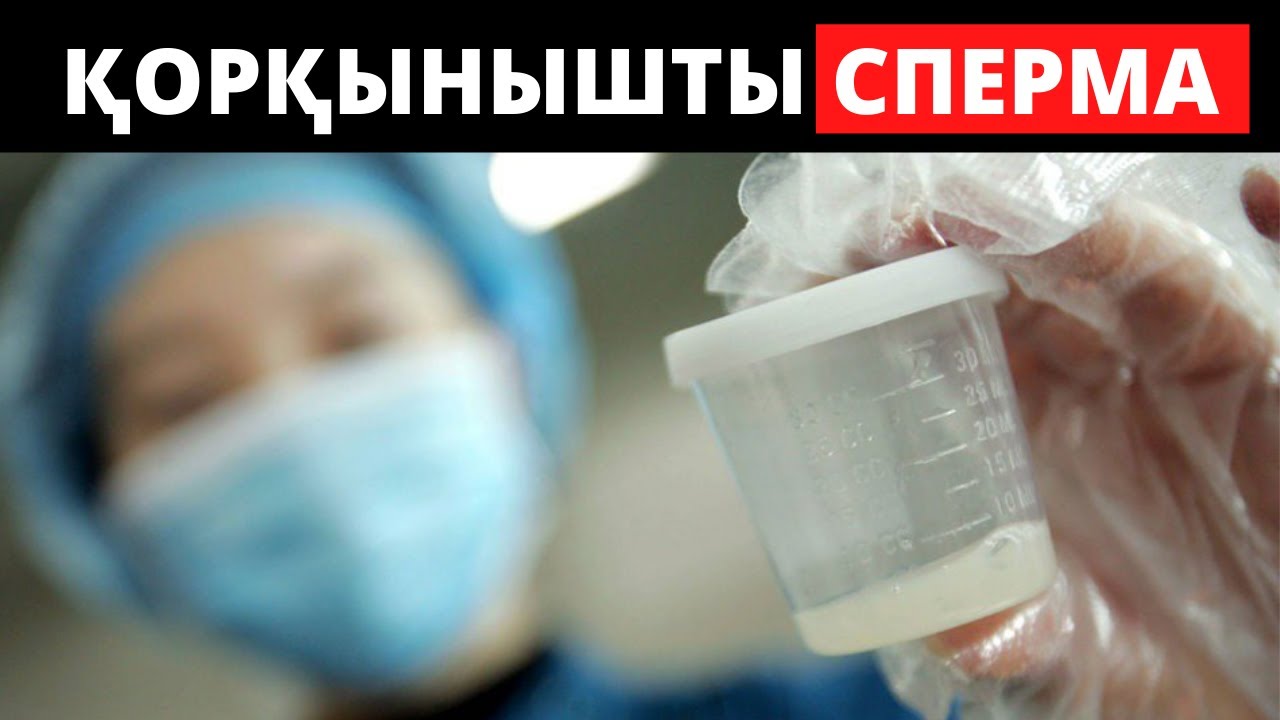 Ең жақсы Ұрық қандай болу керек?  Еркектің ұрығын күшейту.