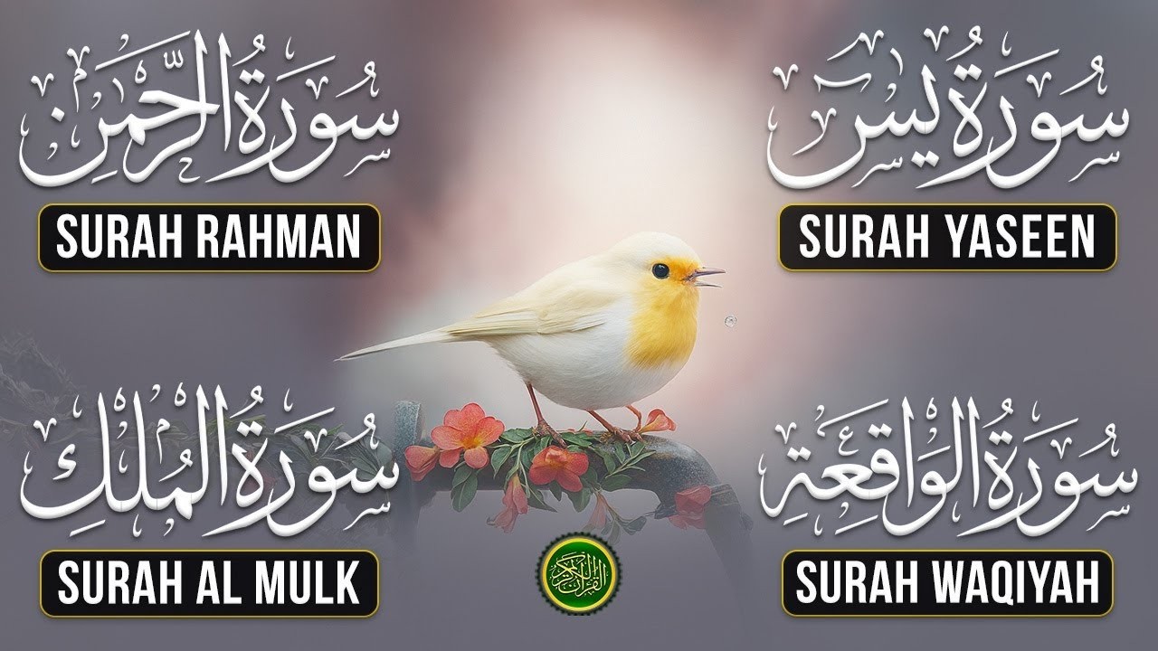 Powerful Quran Healing | Surah Yasin Rahman Waqiah Mulk | Most Beautiful Quran Recitation