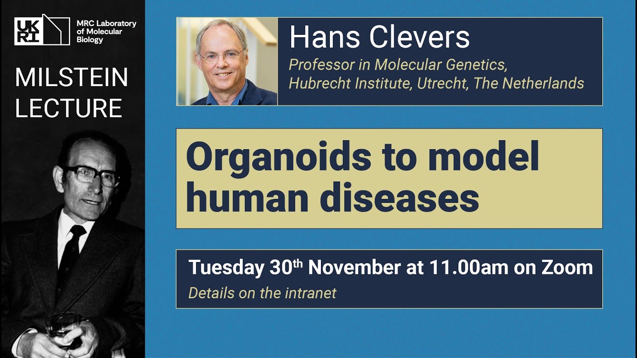 Milstein Lecture  2021 - Organoids to model human diseases - Hans Clevers