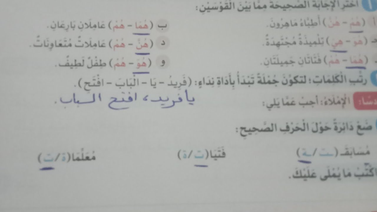 امتحان شهر فبراير لغة عربية من كتاب الوزارة للصف الثاني الإبتدائي #٢٠٢٦
