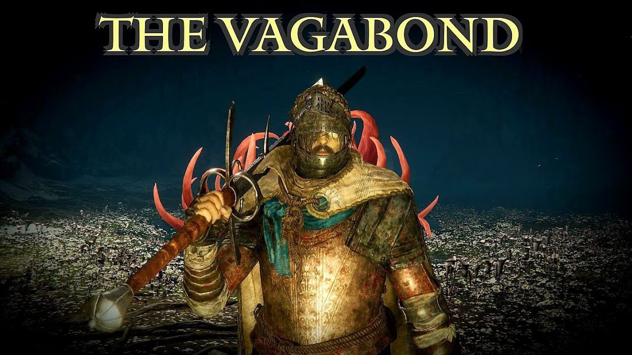 Elden Ring - Malenia vs The Vagabond