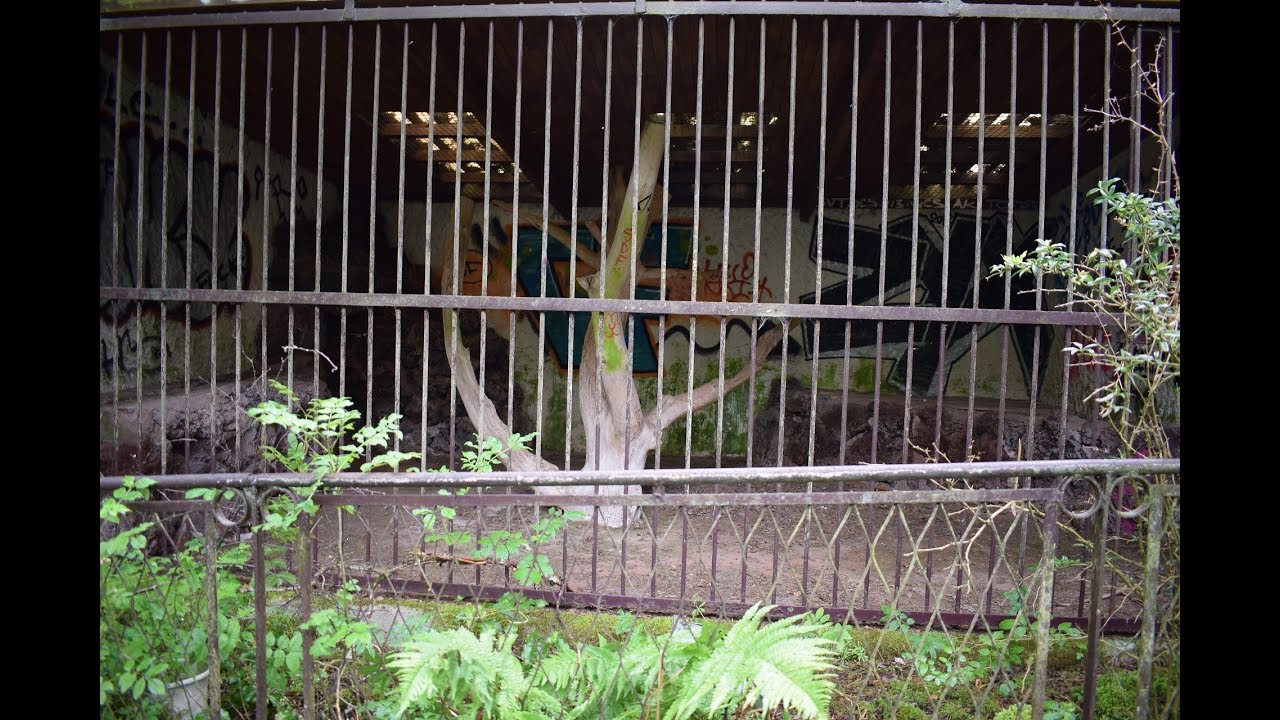 ZOO ABANDONNÉ (PARC ANIMALIER) | URBEX #17