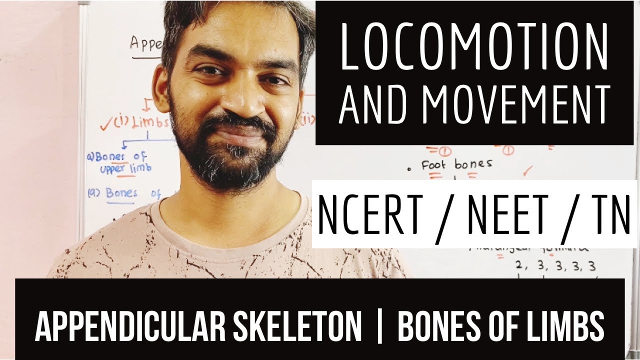 Appendicular Skeleton | Bones of Limbs | Locomotion and movement