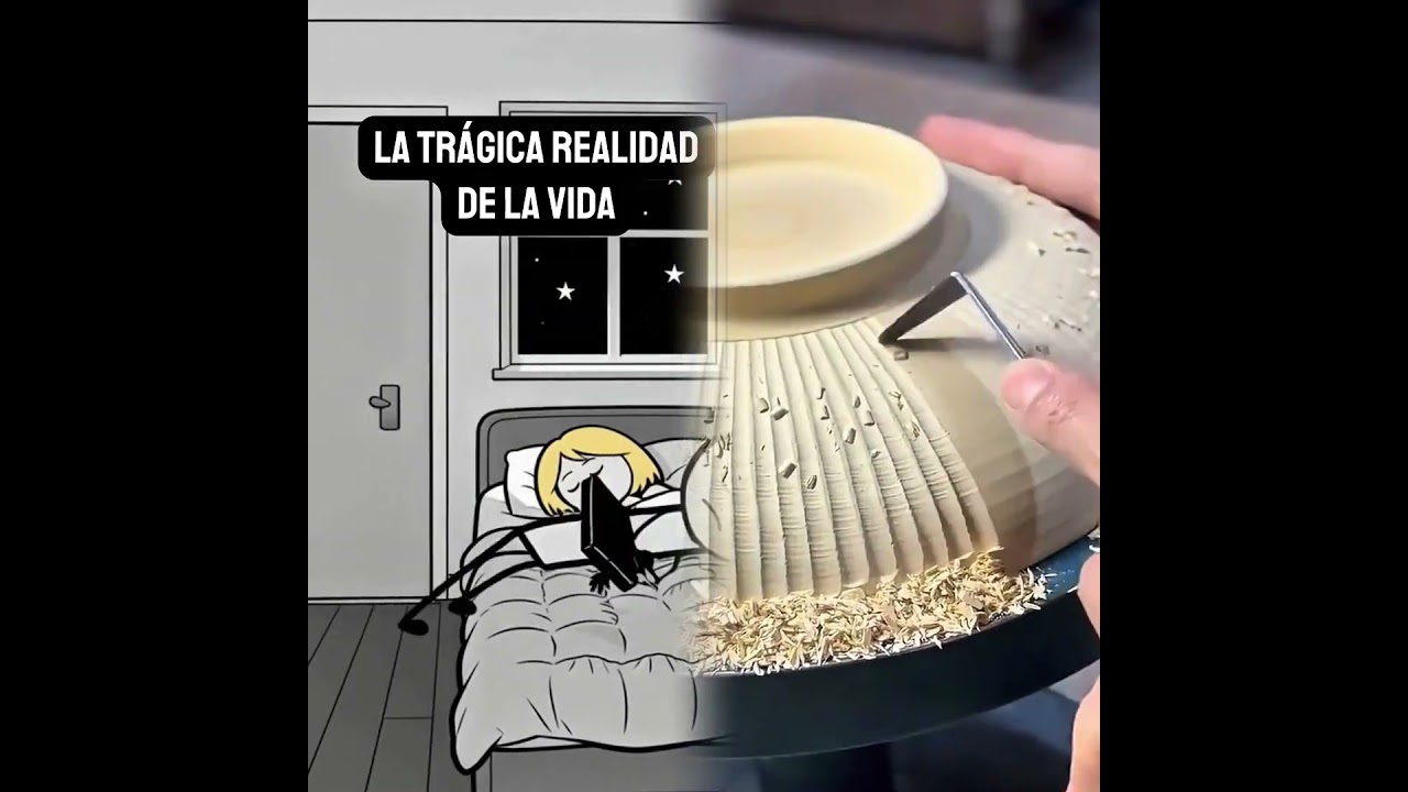 ES LA REALIDAD #humor #artedigital #memes #pensandoenvozalta #comedia #dibujoscreativos #realidad