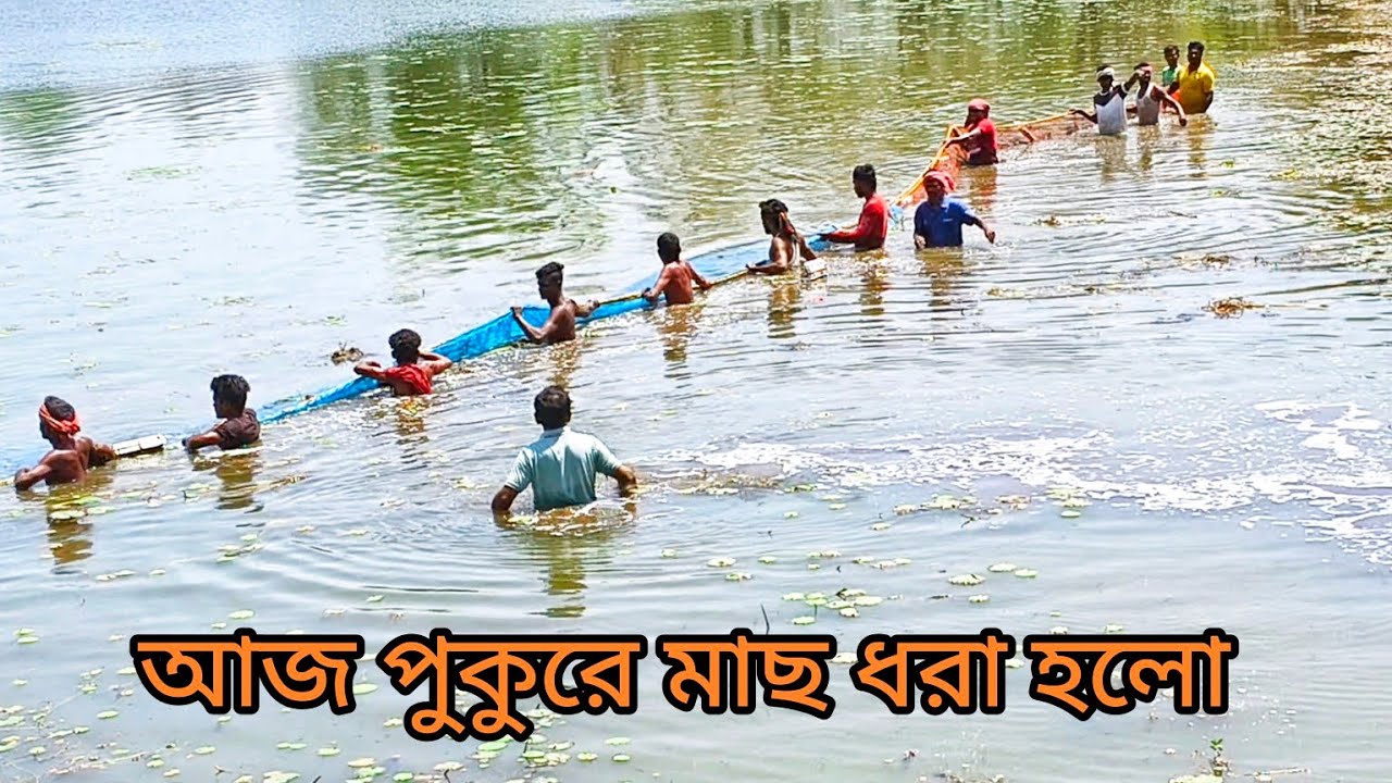 এক সাথে অনেক মাছ আর কি উঠে এল দেখ 😃