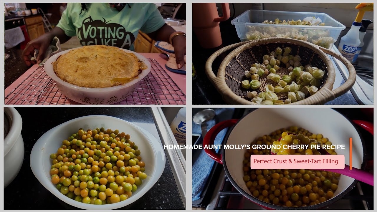 Homemade Aunt Molly's Ground Cherry Pie Recipe | Perfect Crust & Sweet-Tart Filling