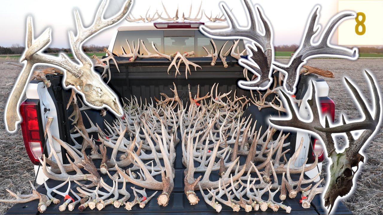 Shed SZN Finale: 10