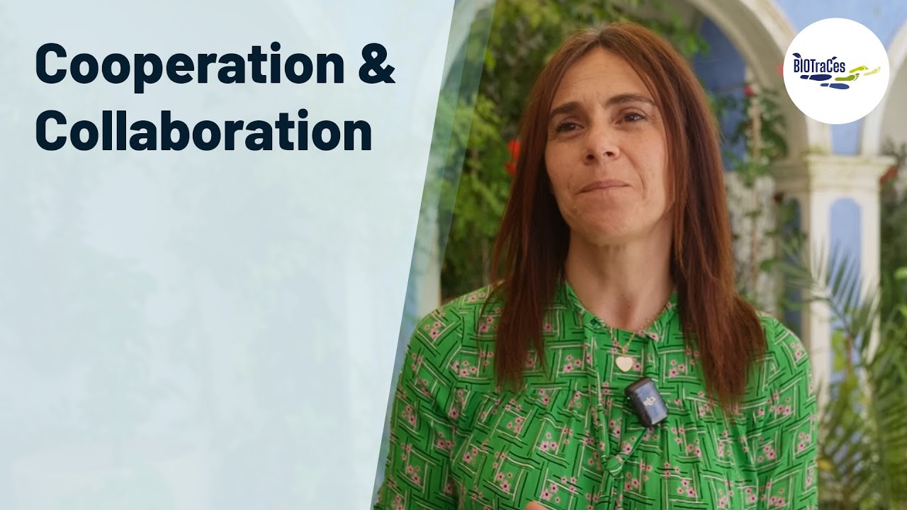 Rosinda Pimenta: A Global Strategy for the Mértola Region