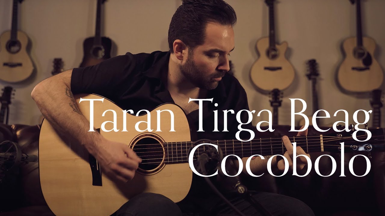 Taran Tirga Beag, Cocobolo & Adirondack Spruce | Carl Miner