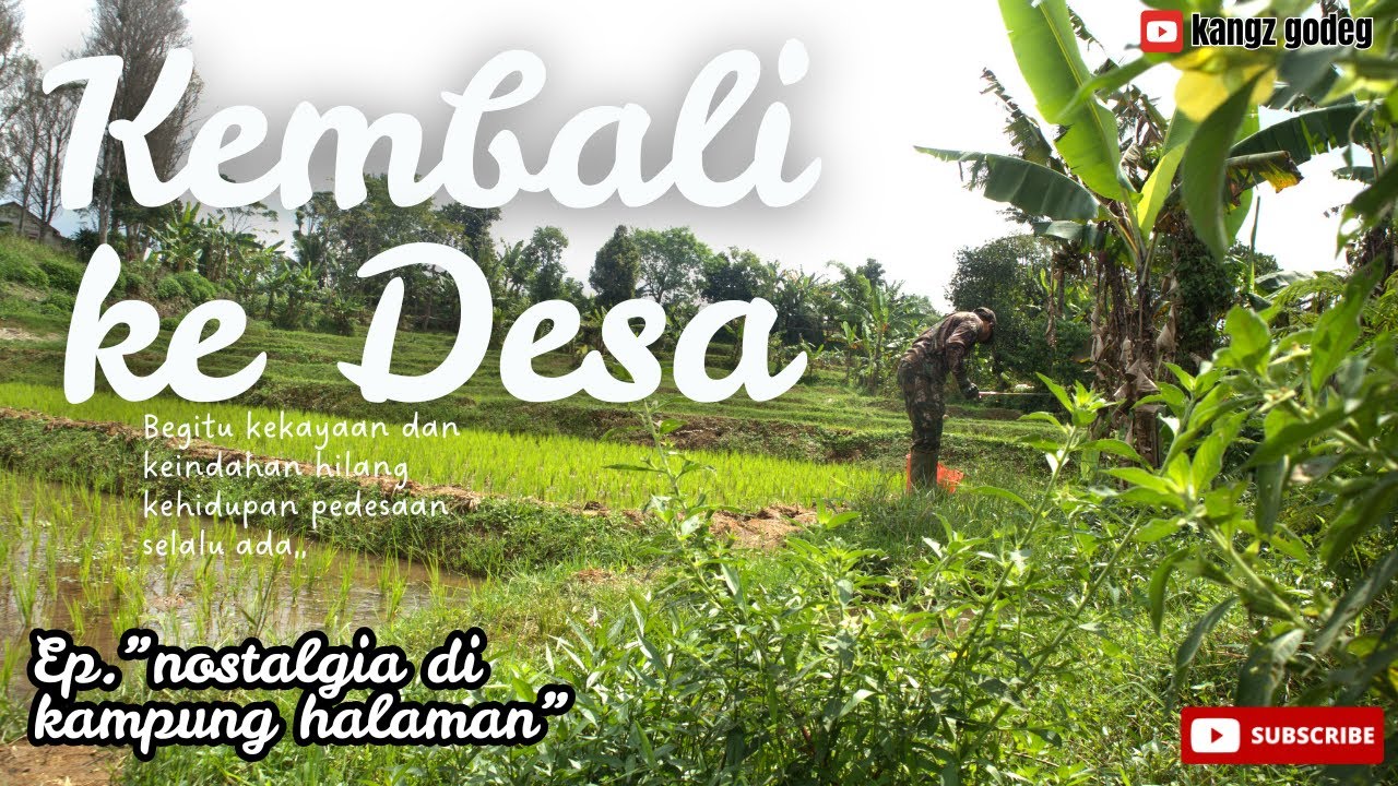 Yang punya kenangan di Desa,kita nostalgia dulu,mancing sambil makan 