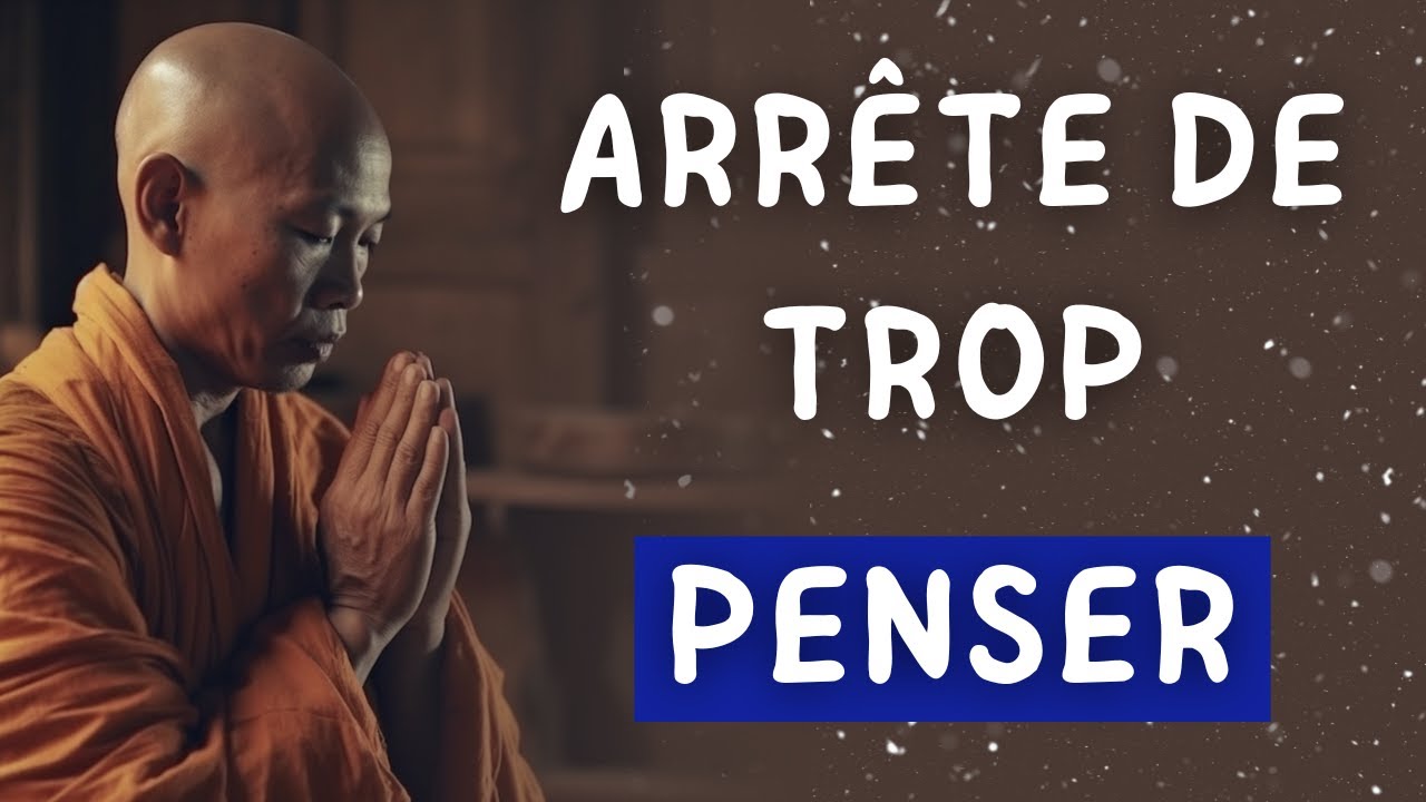 COMMENT ARRÊTER DE TROP PENSER | Stopper le mental et le remettre à sa place | Histoire Zen |