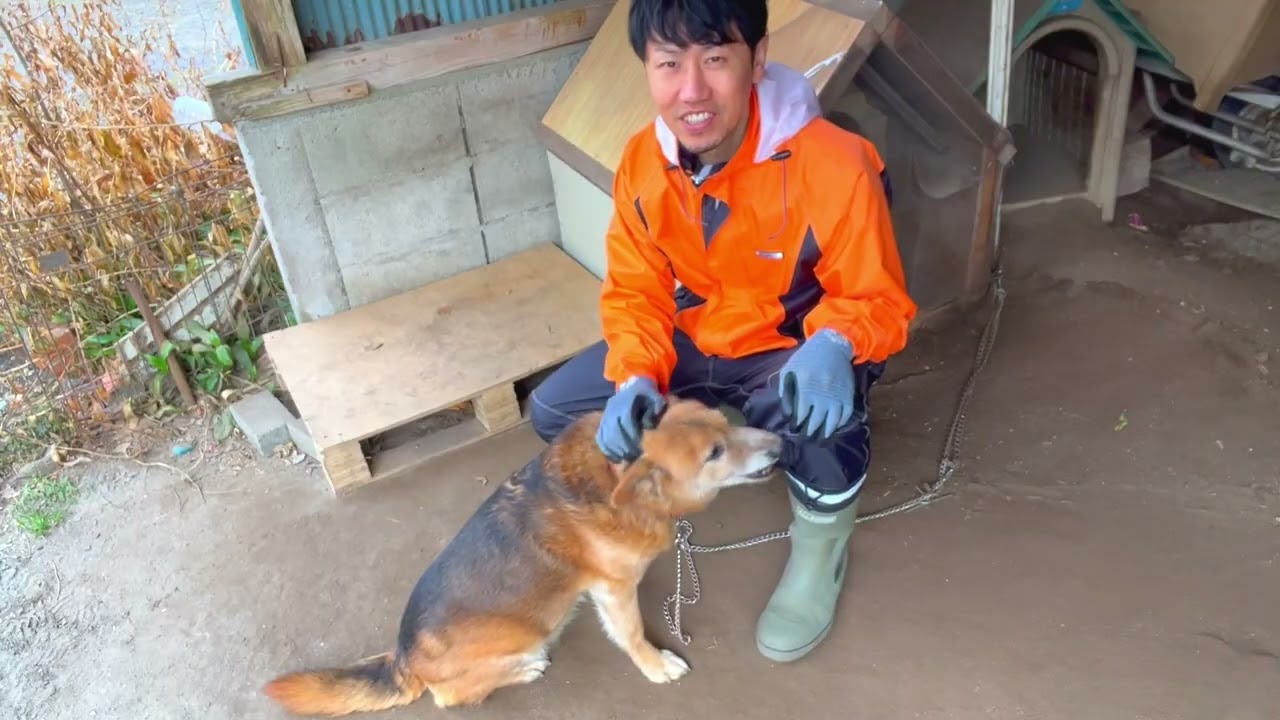 【切実】昔みたいに触れ合いたい。それだけなんです。