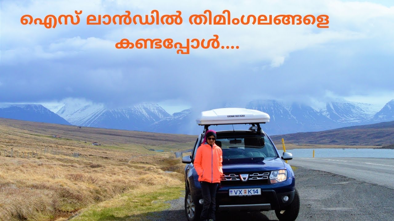 Iceland Road Trip Part 1 | Malayalam Vlog ||  Whale Watching || European Kazhchkal