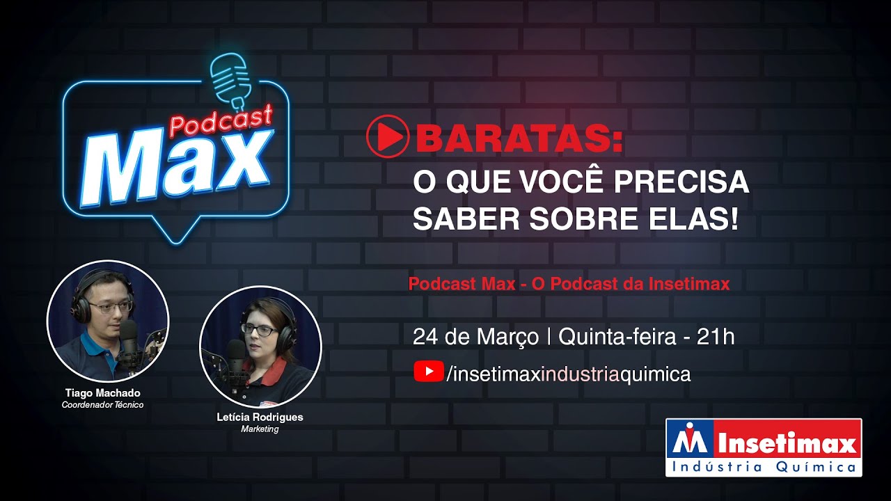 Baratas: o que você precisa saber sobre elas!