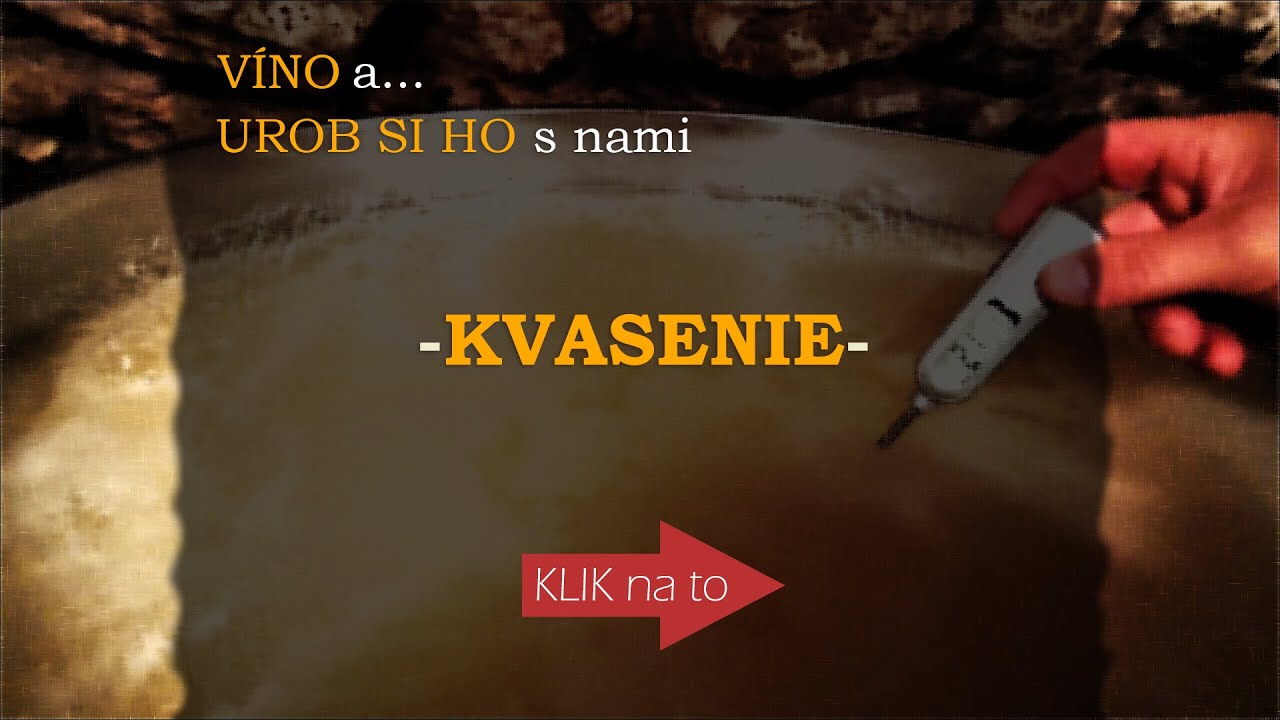 VÍNO a... UROB SI HO s nami - KVASENIE