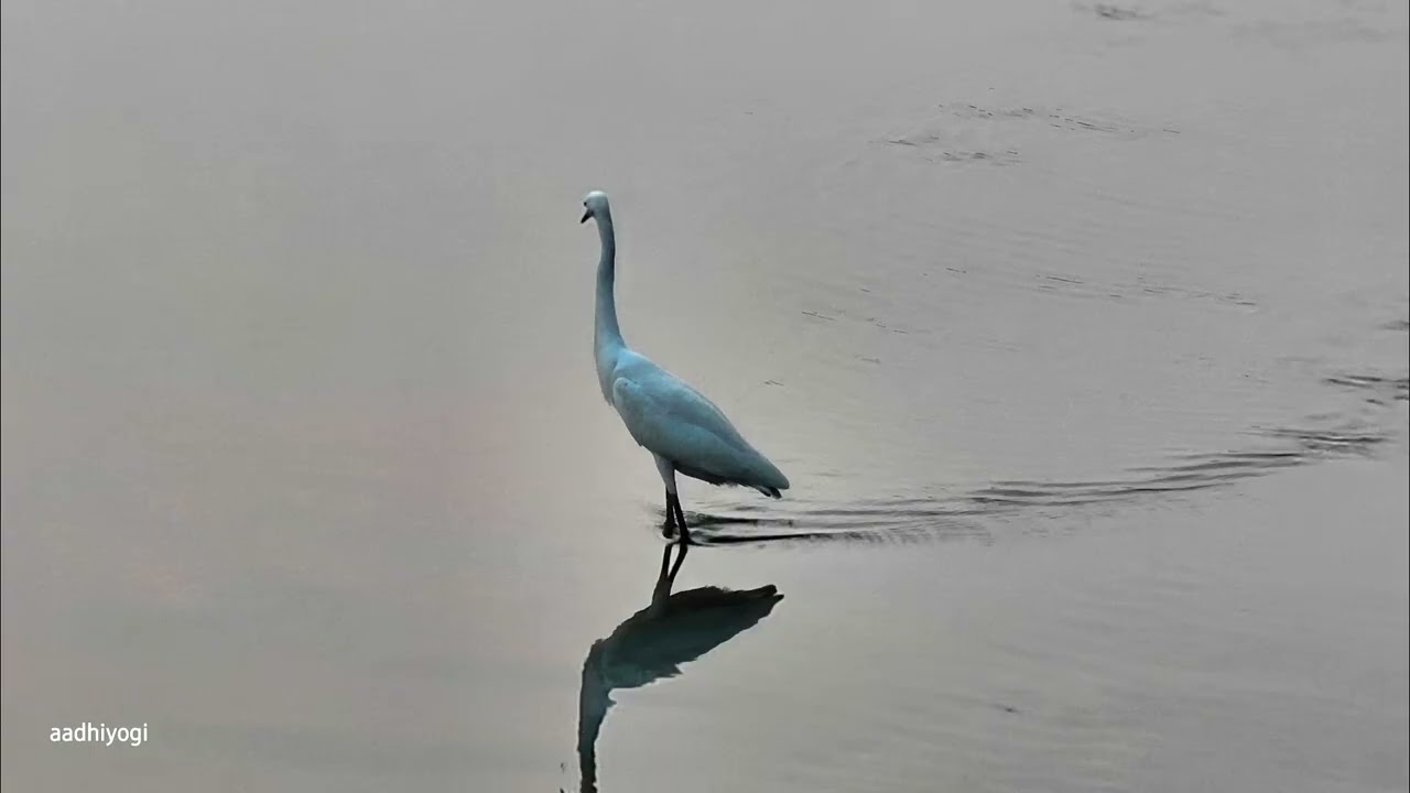 ELATHUR  beach kozhikode