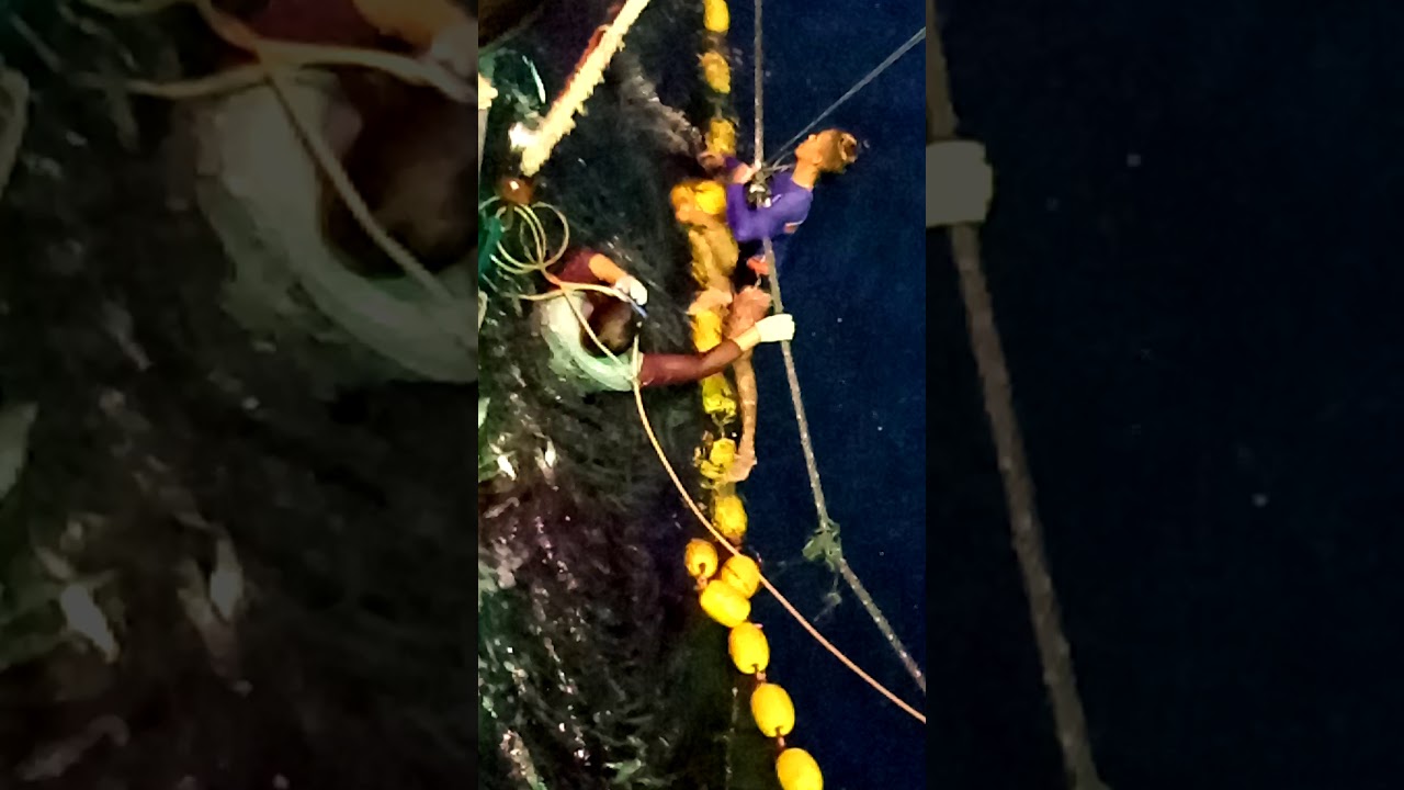 Kapal Juana dapat ikan 35 ton perairan papua