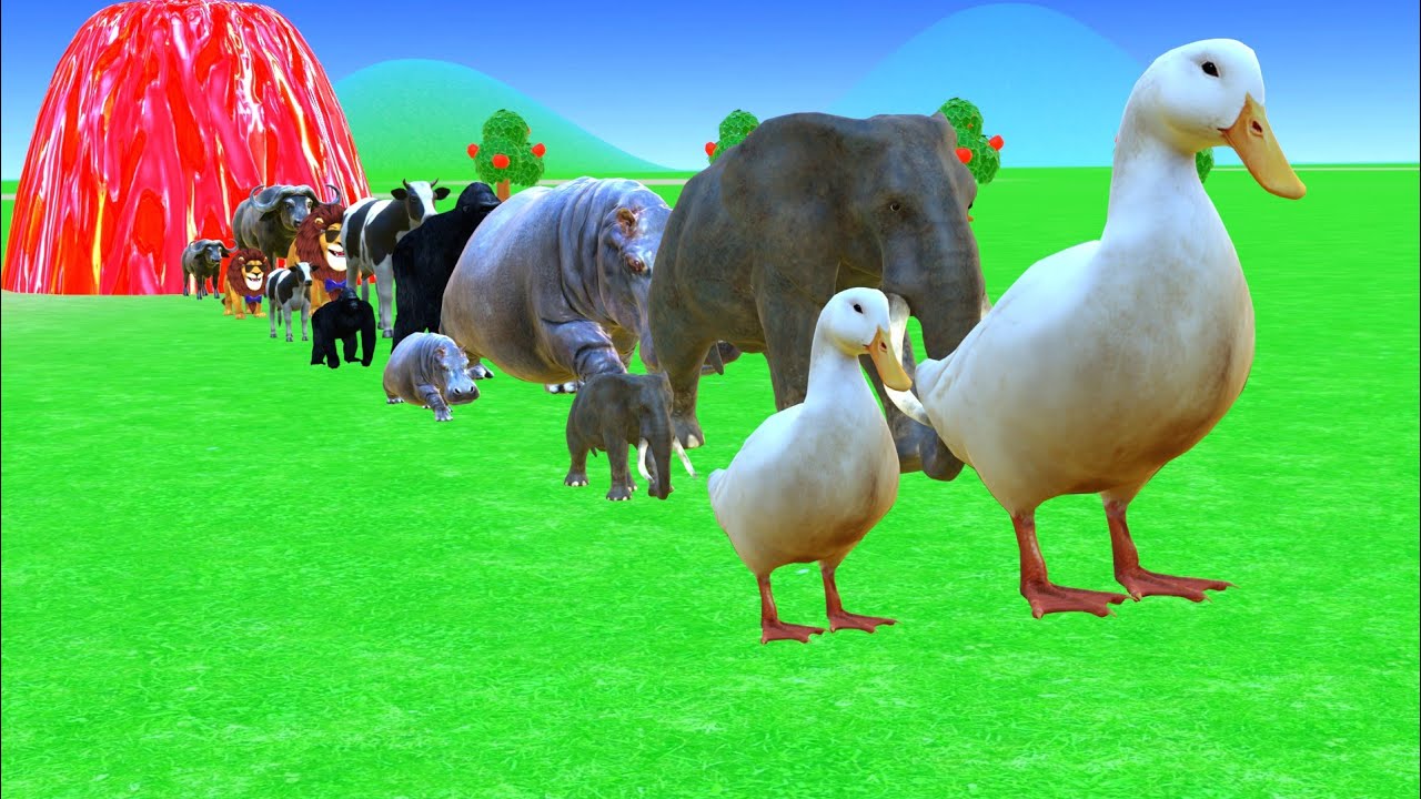 Long slide game with elephant cow gorilla hippopotamus cat 3d animal game 
