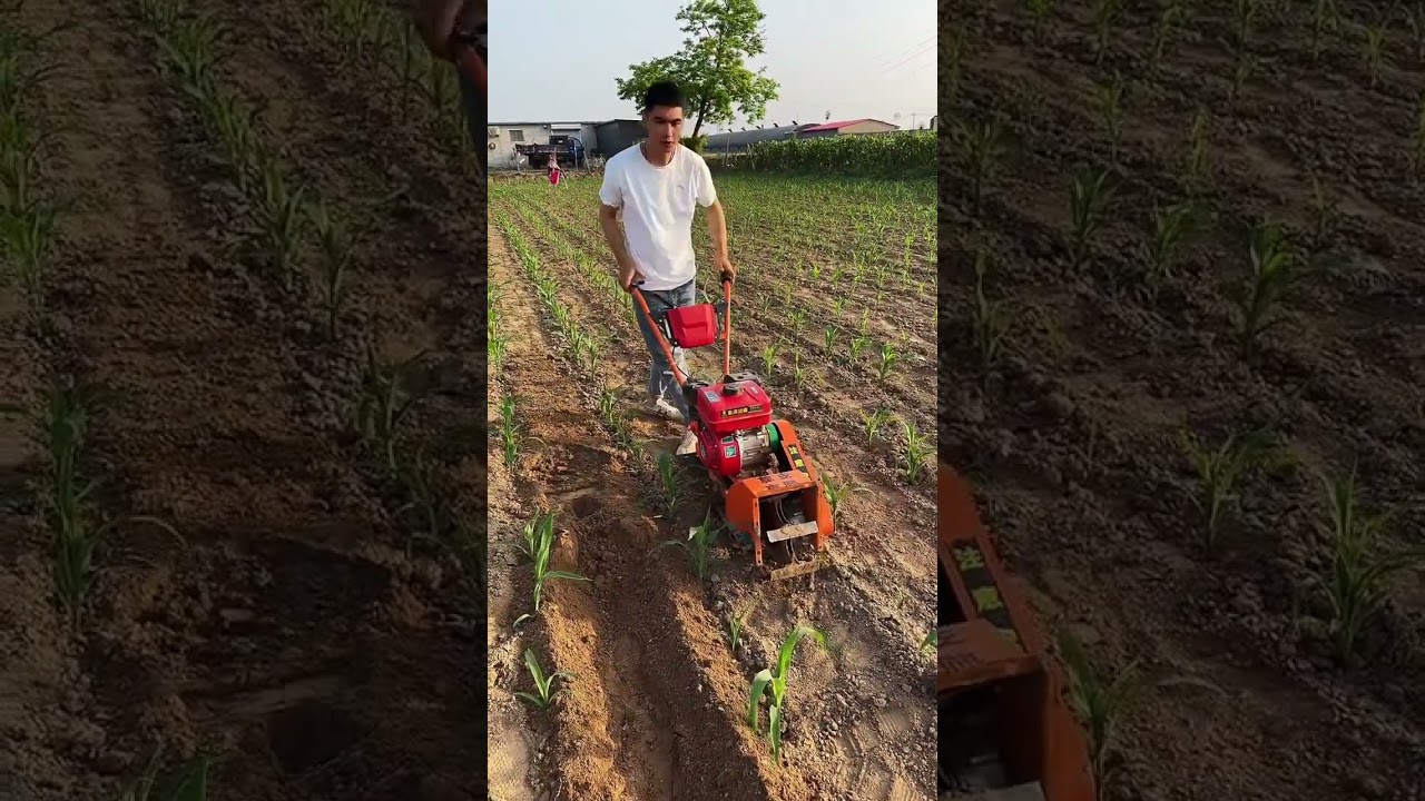 Mini-tiller Made in China #Agricultural Machinery #agriculture