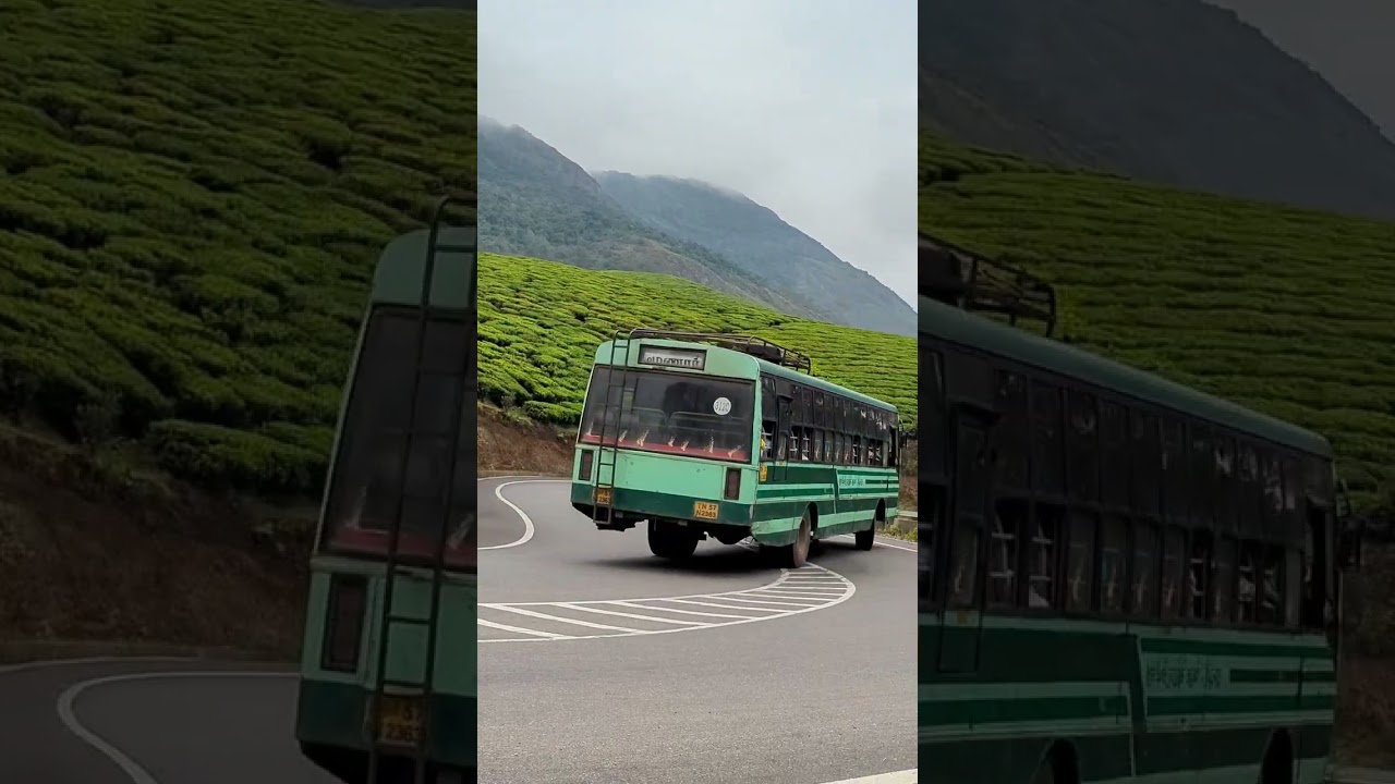 Nature's own canvas in Devikulam, Munnar#travel #mallutraveler #trending #munnar #mallu#hillstations