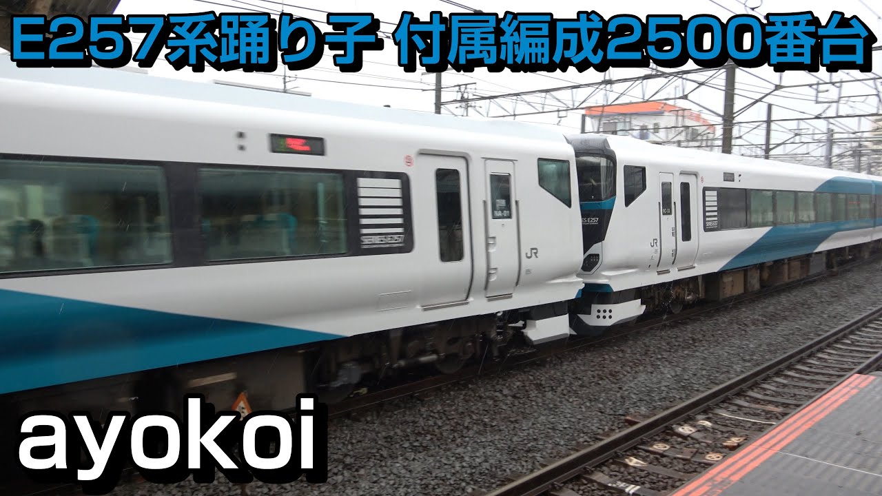 E257系特急踊り子14両編成 5両付属編成2500番台 運行開始