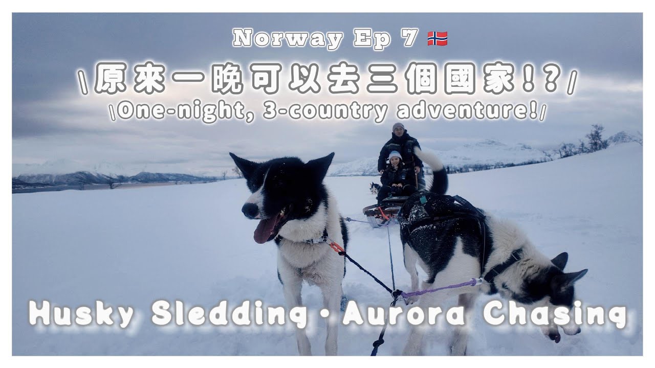 【挪威 🇳🇴】[Eng Sub] Ep 7 ▶ Tromsø 特羅姆瑟 | Husky Sledding + Aurora Chasing｜我竟然這麼受狗狗歡迎￼!?