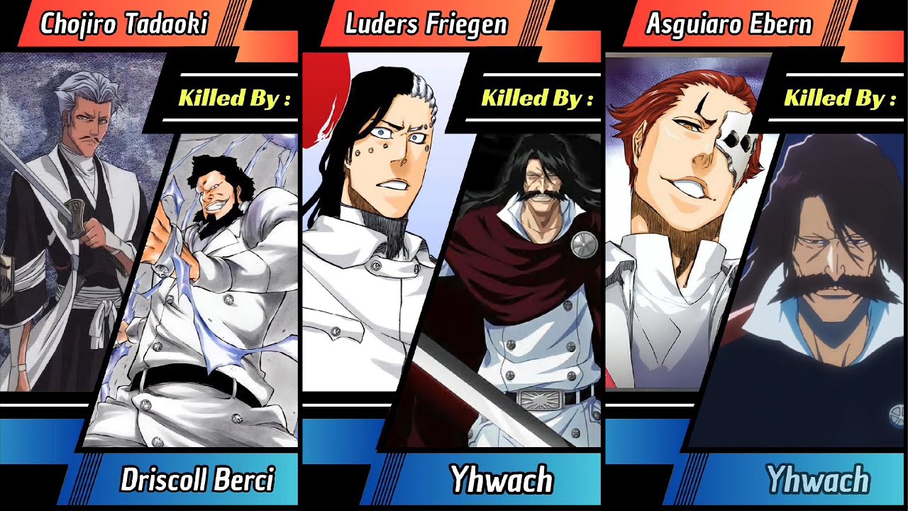 Bleach Thousand Year Blood War (TYBW) : Who Was Vanquished by Whom? #anime #animewibu #bleach #manga
