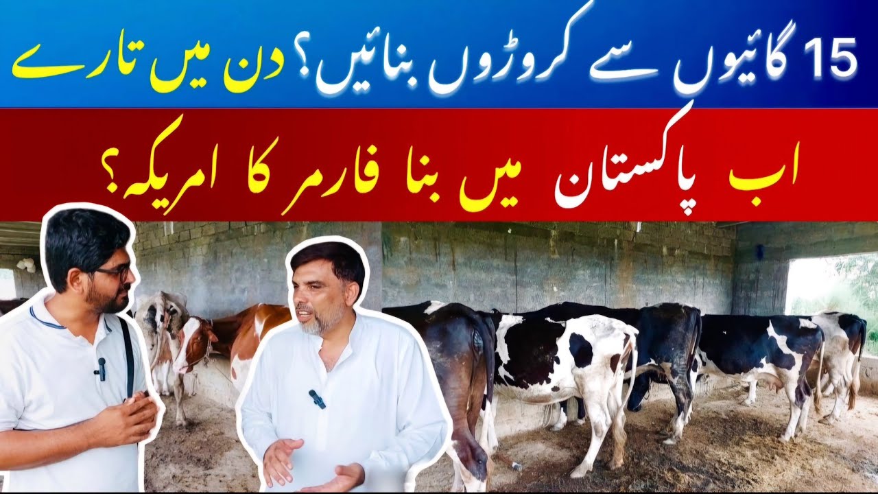 Millions earning from dairy farming II Dairy farming facts