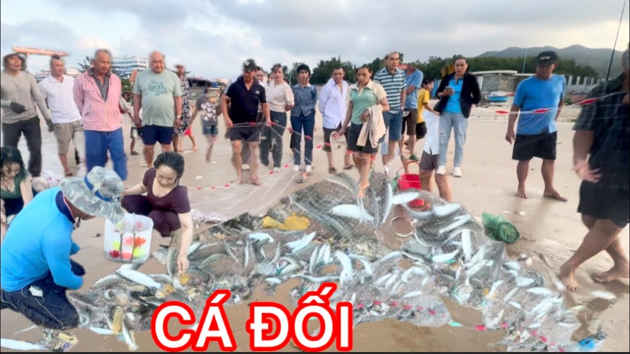 NGƯ DÂN BIỂN LONG HẢI KÉO LƯỚI CÁ ĐỐI KIẾM TIỀN TRIỆU DỄ DÀNG