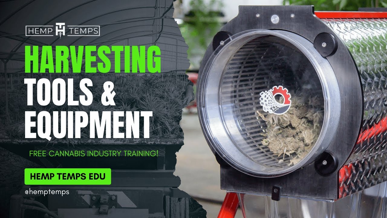 Harvesting Tools and Equipment | Hemp Temps University | Free Cannabis Industry Training