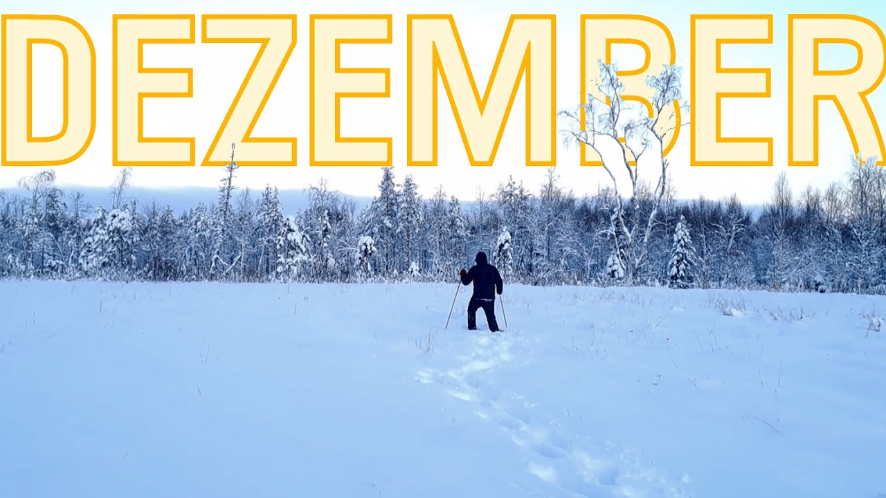 Der Winter ist gekommen | Winter came | L’hiver est arrivé