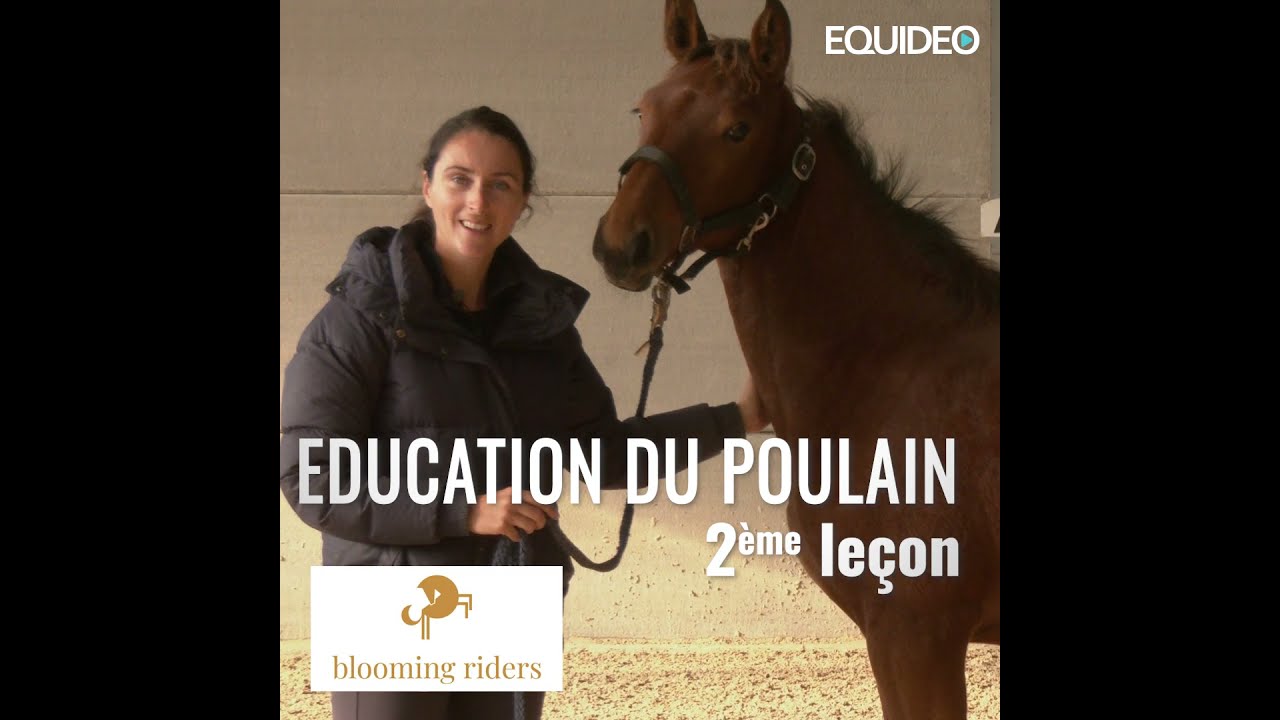 Votre cheval donne les pieds facilement ?