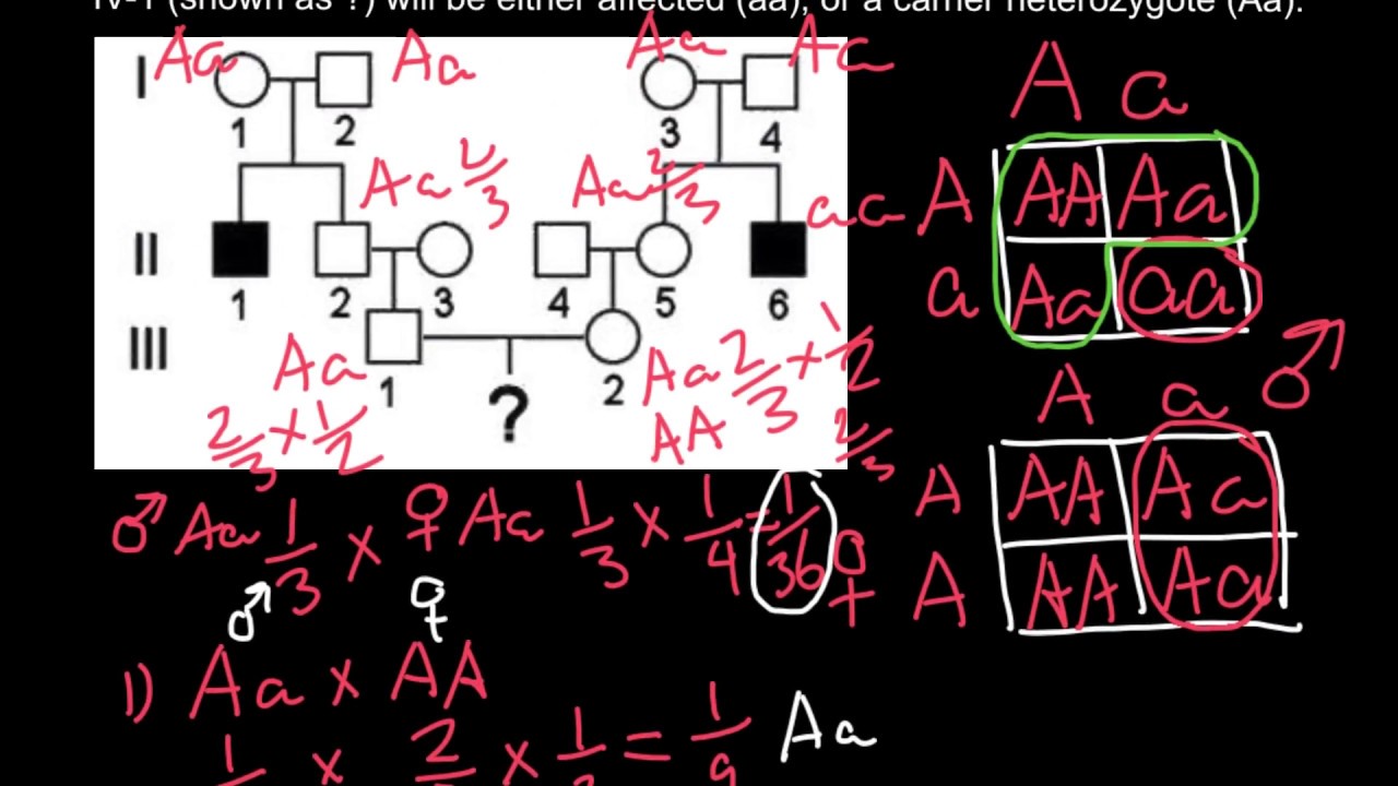 How to Apply a Law of Probability in Order to Solve Pedigree Genetics Problems