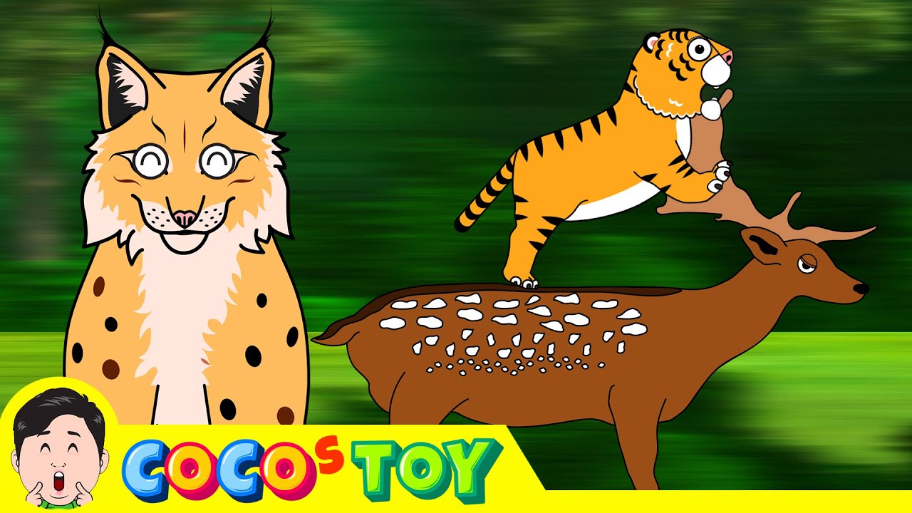 A lynx raised a baby tiger with loveㅣanimals animation for childrenㅣCoCosToy