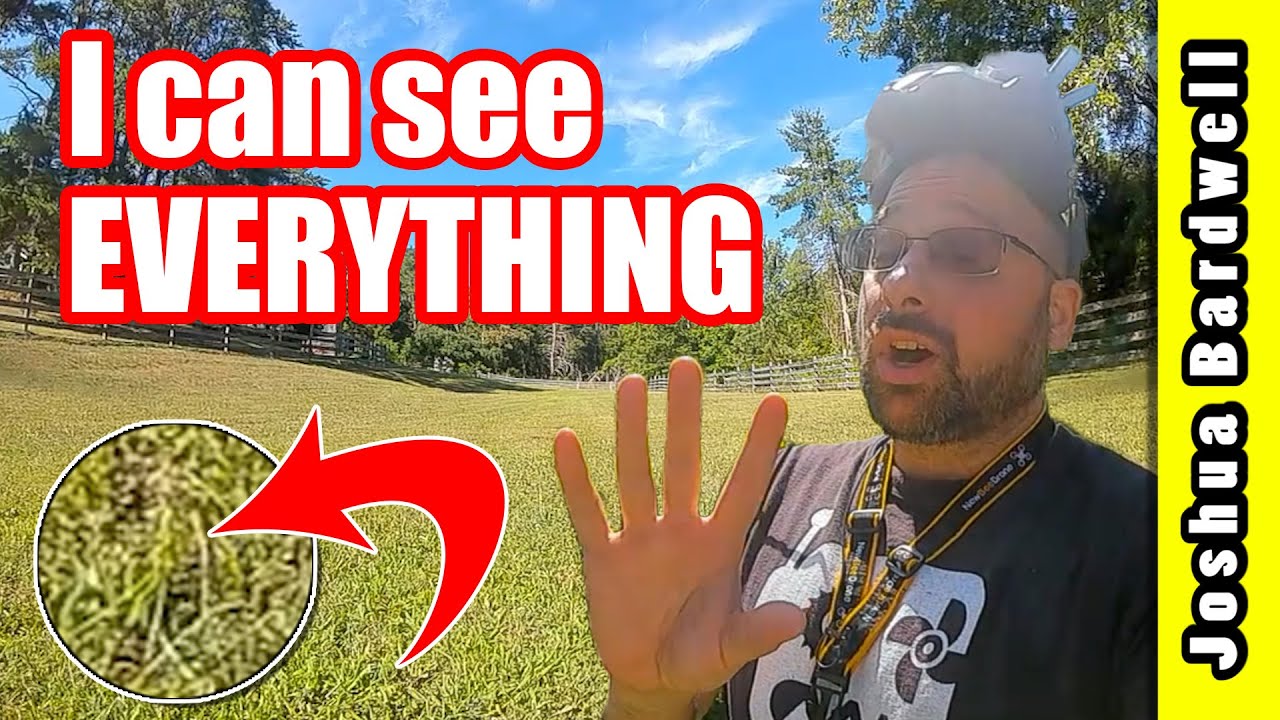 DJI FPV 50 Mbps mode blew my mind (vs. 25 Mbps -- more range?)