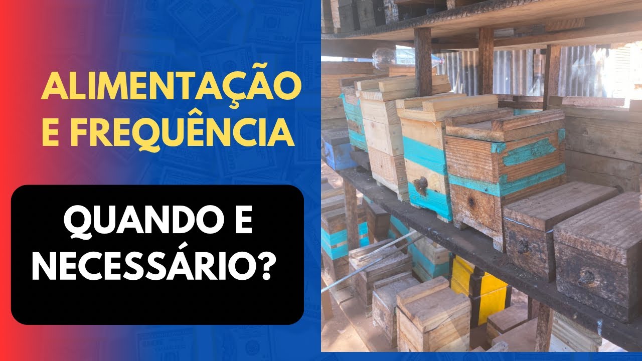 Como identificar um enxame que tá precisando de alimentação e qual a frequência???