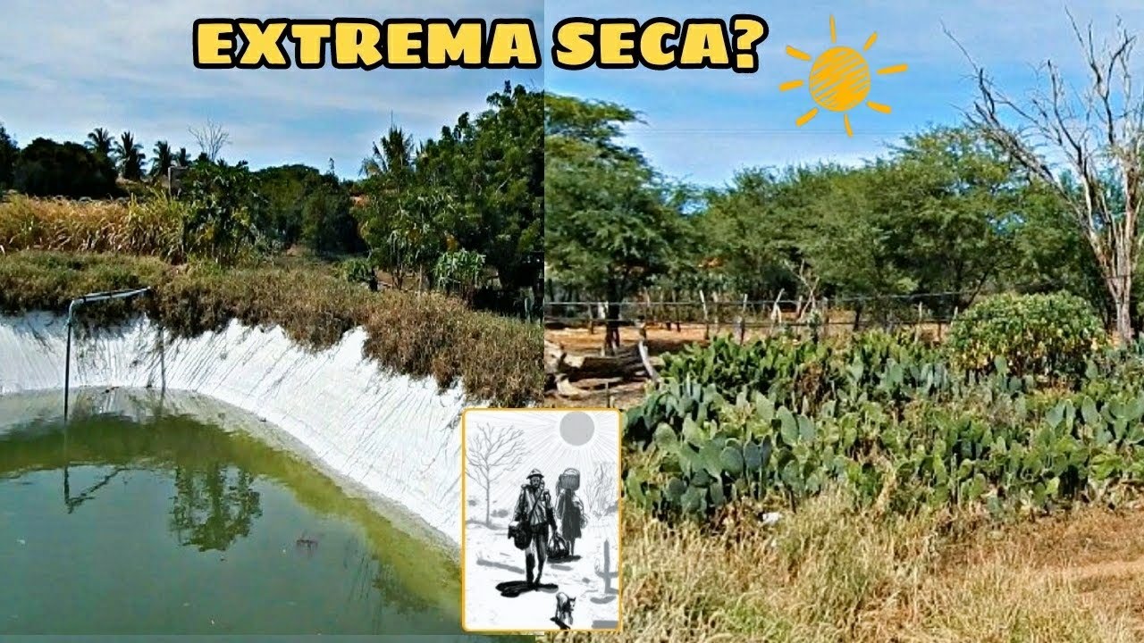 COMO CONVIVER, CRIAR E PRODUZIR NO SEMIÁRIDO NORDESTINO