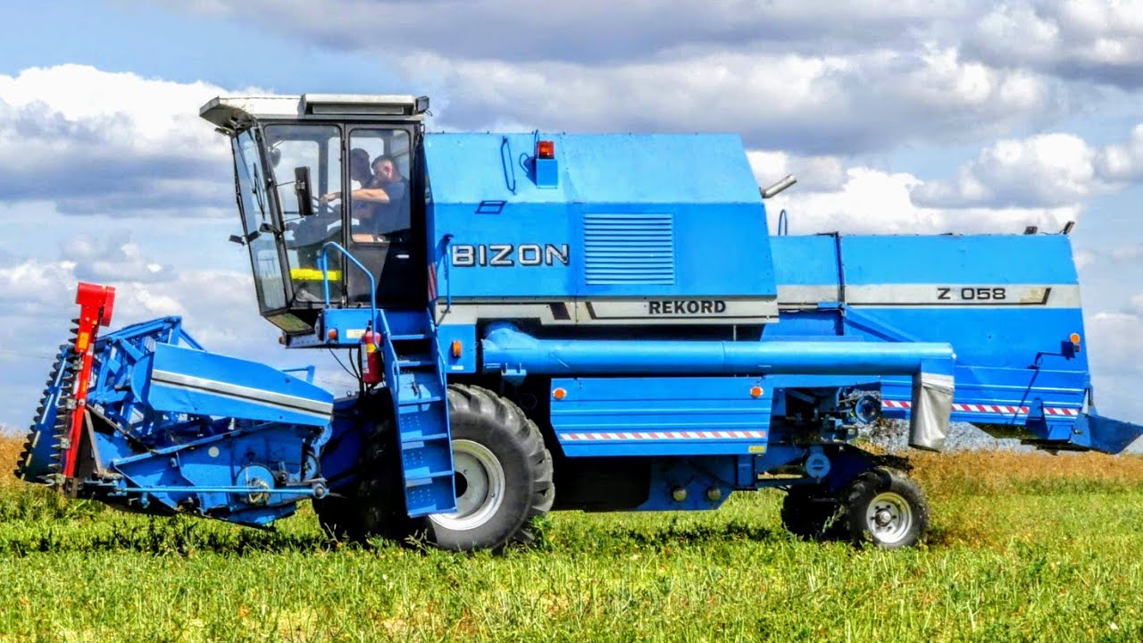 Żniwa 2020 - Rzepak ☆ Bizon Z058 Rekord & Renault Ares 710 RZ