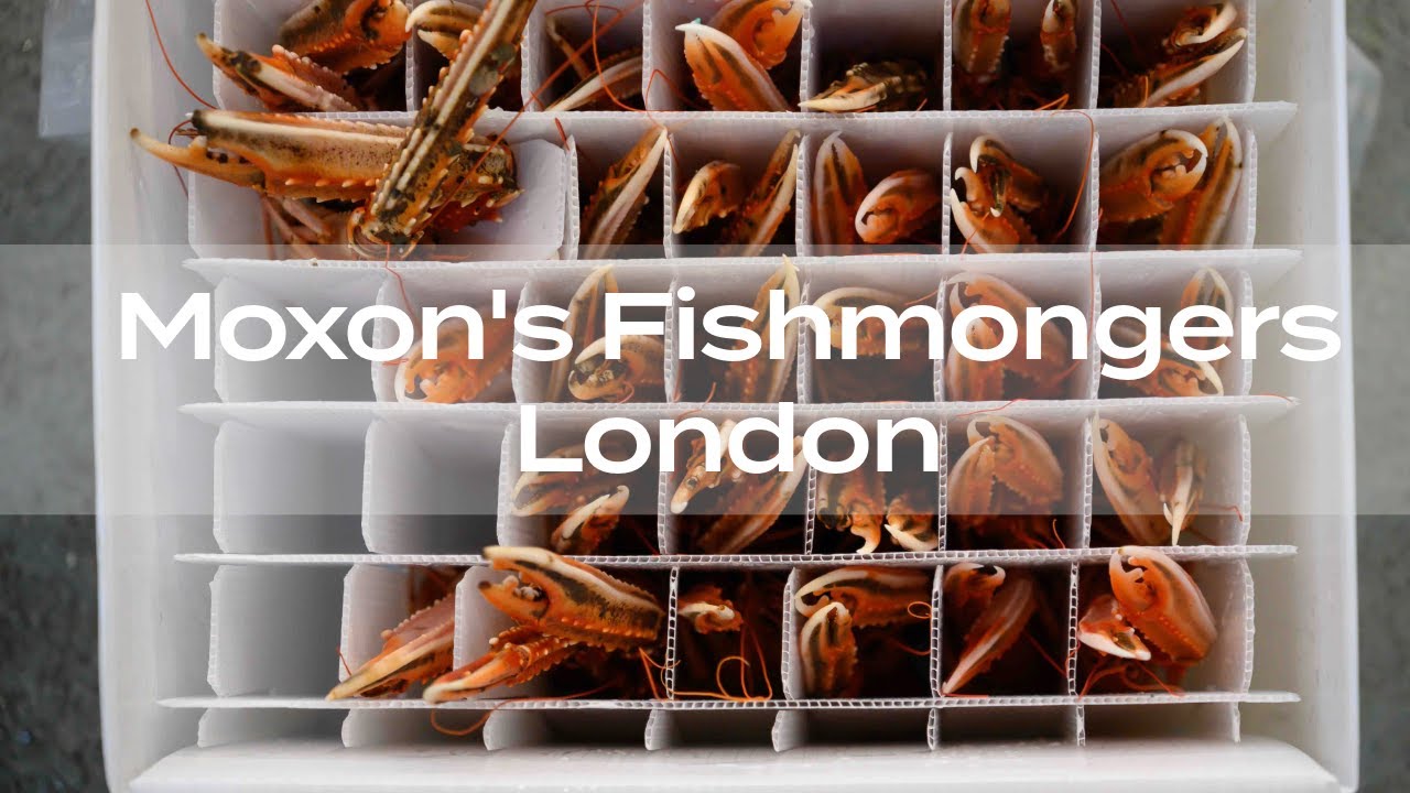 Behind the Scenes at Moxon's Fishmonger - East Dulwich, London