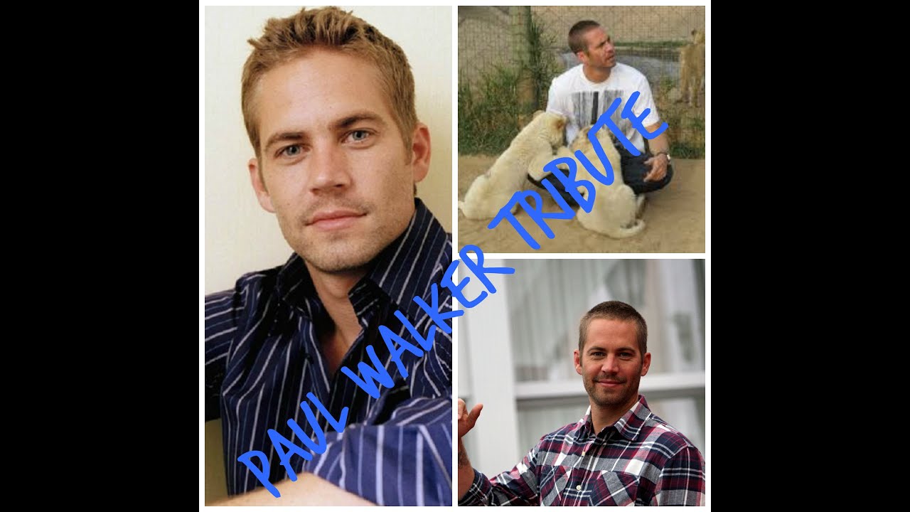 Paul Walker Tribute
