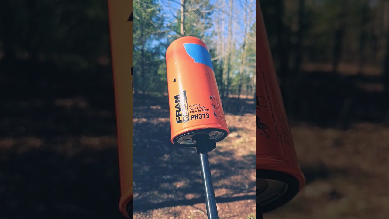 Oil filter suppressor on Chiappa Little Badger .22