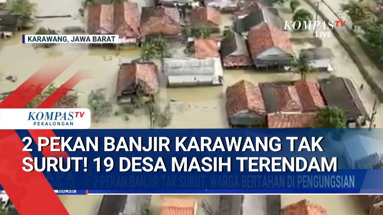 Karawang Lumpuh? 2 Pekan Banjir Tak Surut, 19 Desa Masih Terendam Banjir