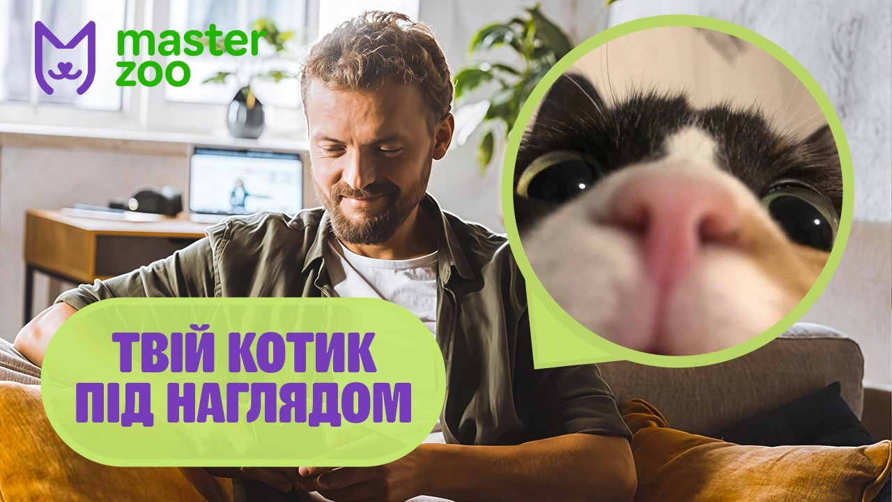 Як слідкувати за котиком з телефону легко і просто? Огляд камер Petcube
