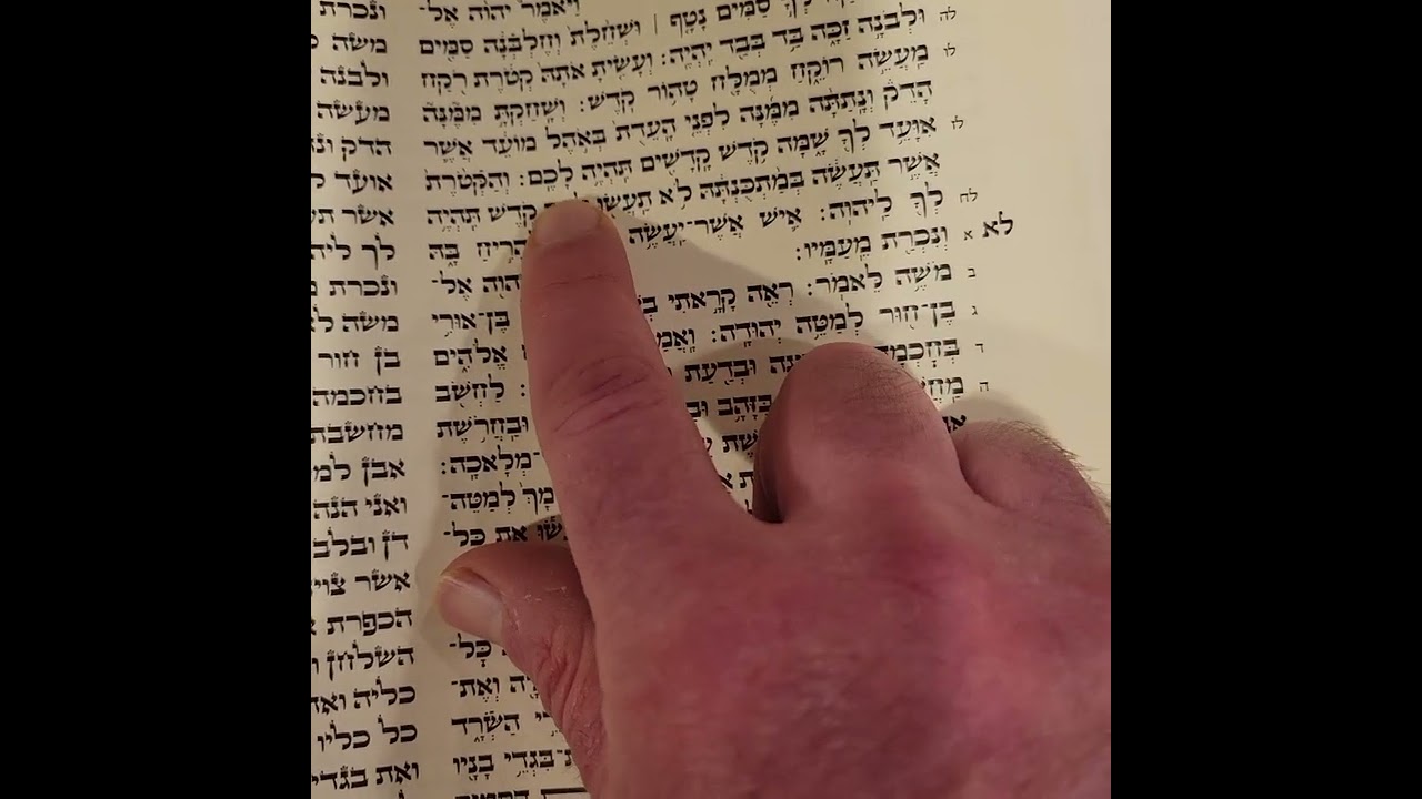Ki Tisa - Rishon