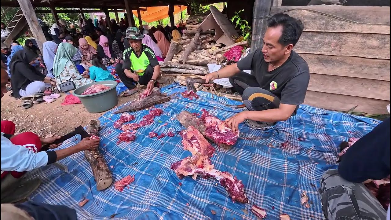 Kesibukan Warga Diacara Pesta Pengantin II Kehidupan Didesa II Village Life In Indonesia.