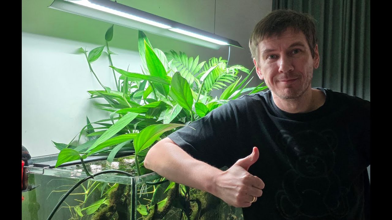 Обзор травника с лианой