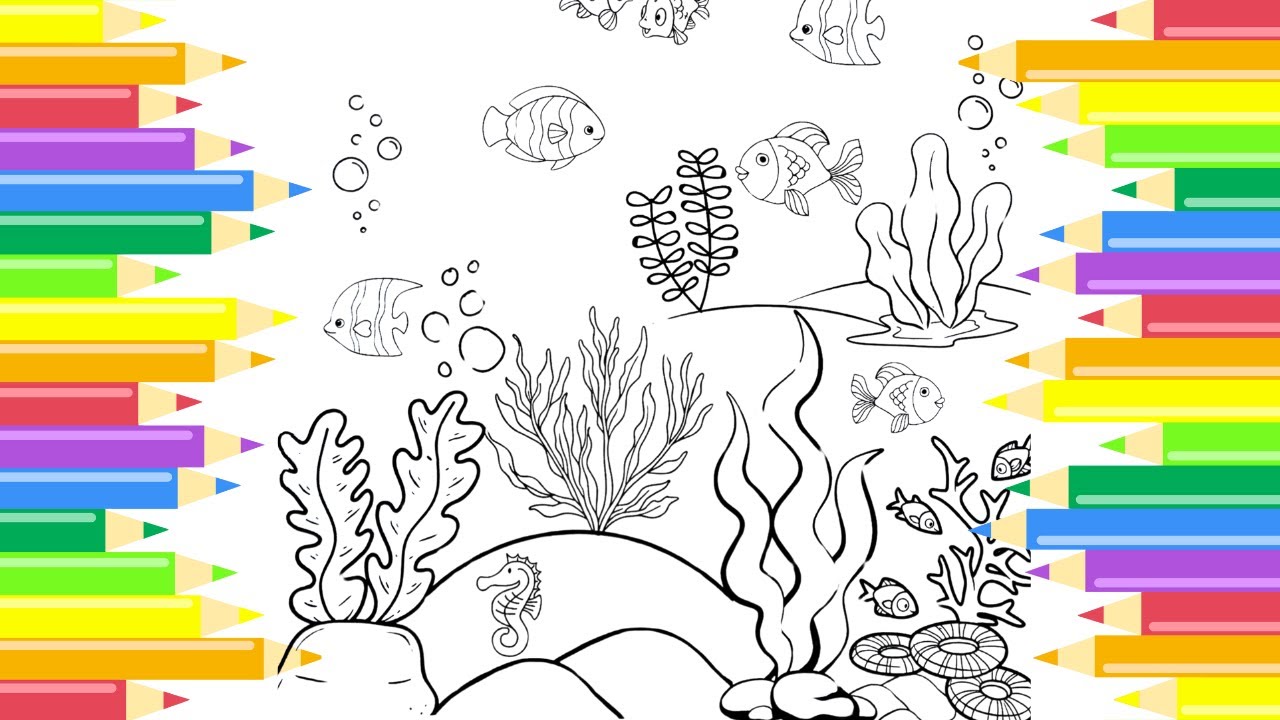 Underwater Colouring