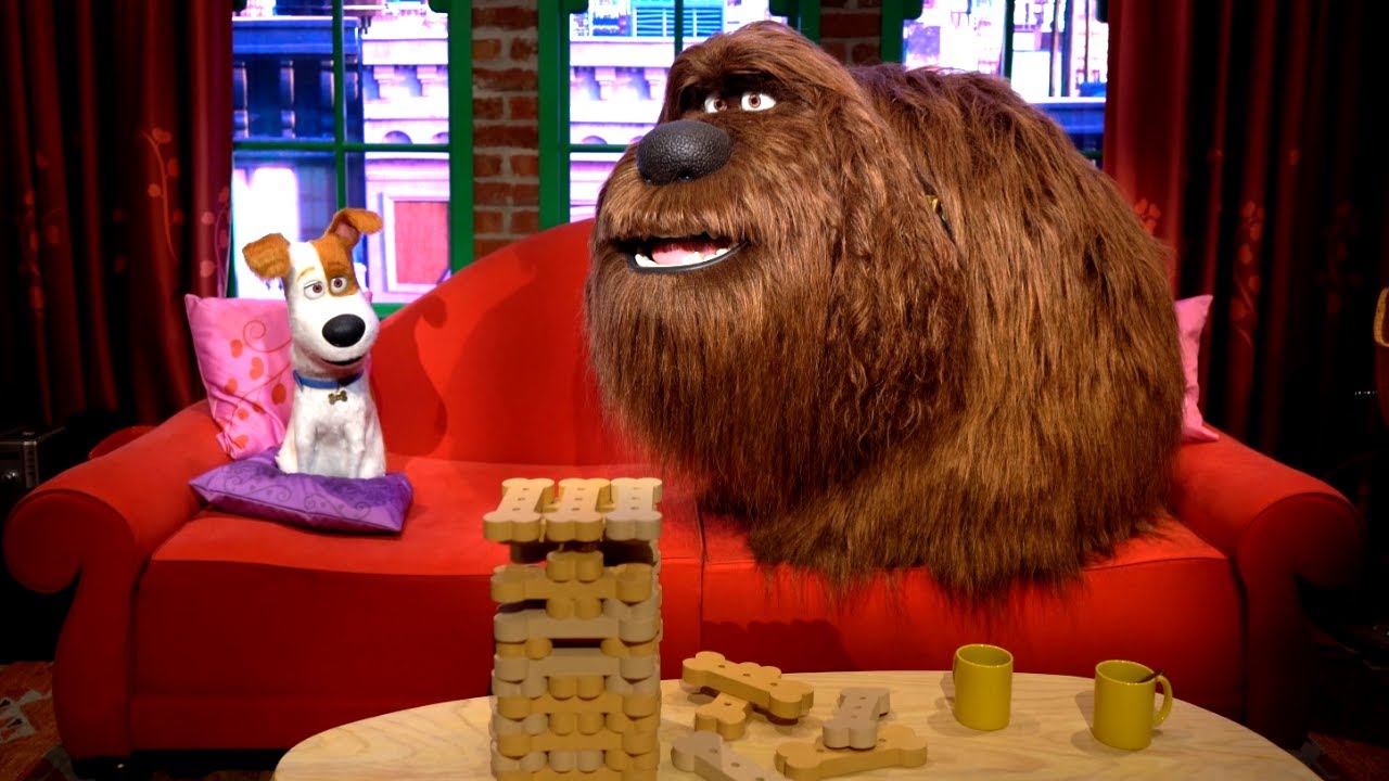 Secret Life Of Pets Full Ride POV, Universal Studios Hollywood [4K]