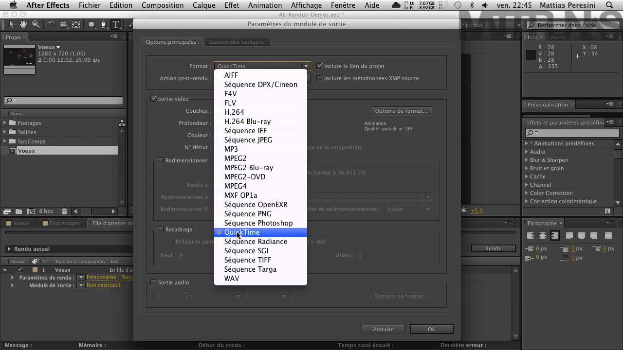 After Effects 9/9 : Le rendu, apprendre à exporter vos vidéos