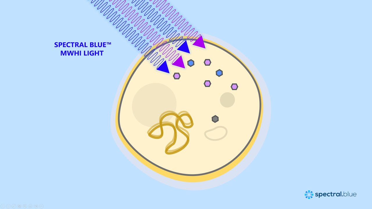 How Spectral Blue MWHI® disinfects air and surfaces (MWHI technology)